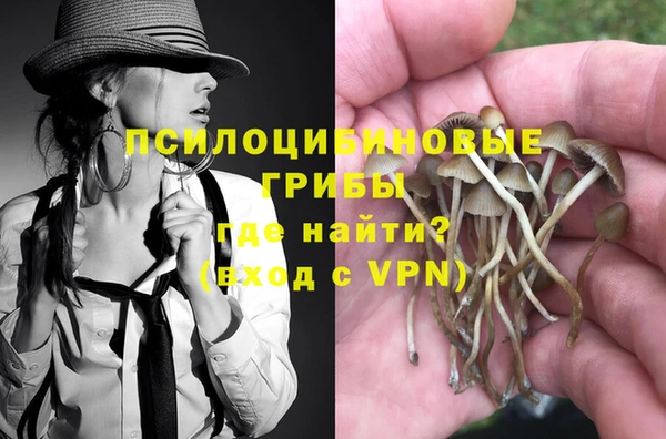 прущая мука Аркадак