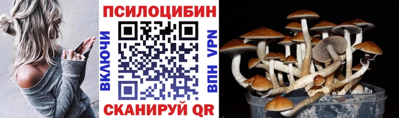 кракен tor  купить   Северобайкальск  Галлюциногенные грибы Cubensis 